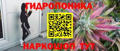 гидропоника Нальчик