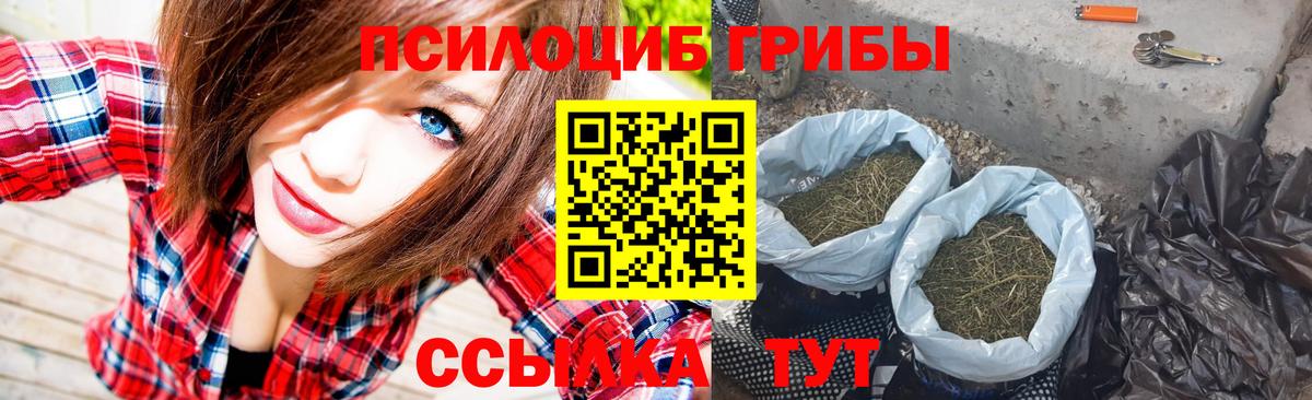 Галлюциногенные грибы Magic Shrooms Владивосток