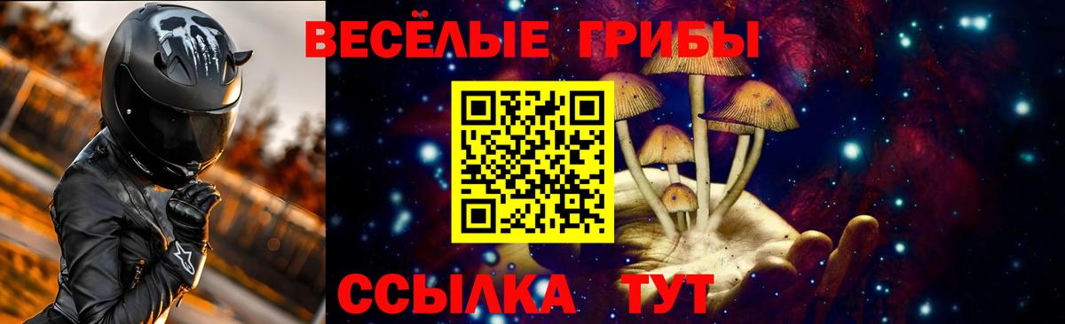 Галлюциногенные грибы Psilocybine cubensis  Псилоцибиновые грибы мицелий  Вход с VPN  Владивосток 